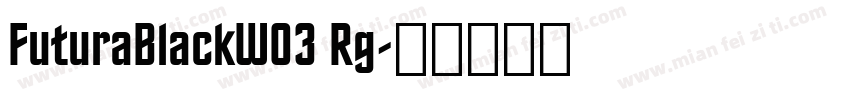 FuturaBlackW03 Rg字体转换